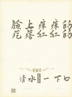 脸上痒痒的有小疙瘩红红的怎么办封面