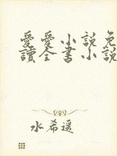 爱爱小说免费阅读全书小说乡村封面