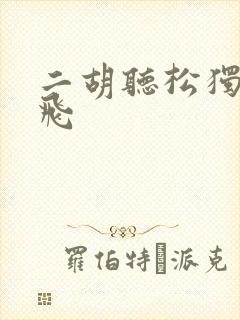 二胡听松独奏宋飞