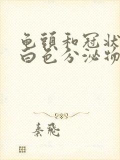 龟头和冠状沟有白色分泌物,发出恶臭