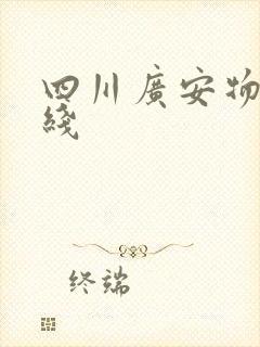 四川广安物流专线封面