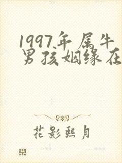 1997年属牛男孩姻缘在哪年