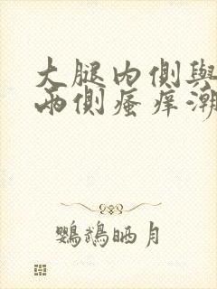 大腿内侧与阴囊两侧瘙痒潮湿发黑是什么原因