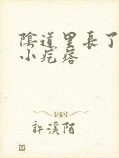 阴道里长了一个小疙瘩