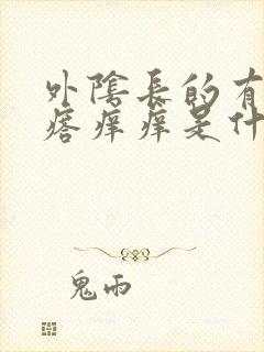 外阴长的有小疙瘩痒痒是什么情况