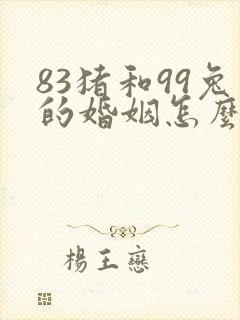 83猪和99兔的婚姻怎么样