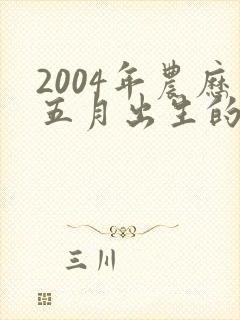 2004年农历五月出生的猴的命运
