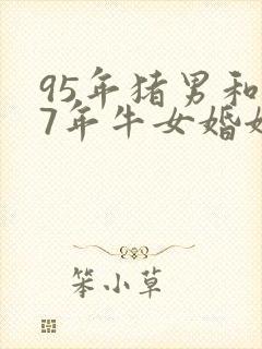 95年猪男和97年牛女婚姻怎么样