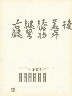 右腿膝盖后面的腿弯筋疼