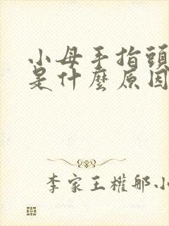 小母手指头发麻是什么原因