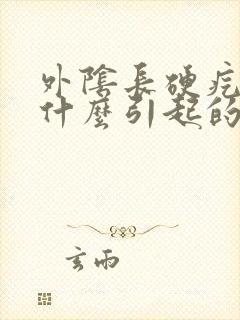 外阴长硬疙瘩是什么引起的