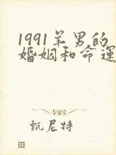 1991羊男的婚姻和命运怎样封面