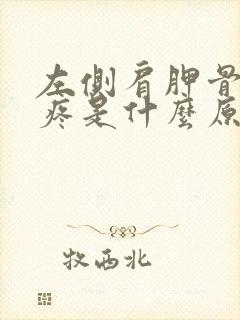 左侧肩胛骨后背疼是什么原因引起的