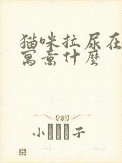 猫咪拉尿在床上寓意什么