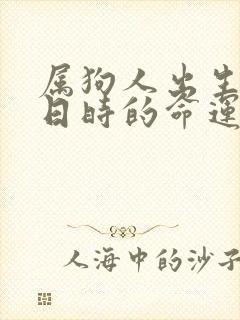 属狗人出生年月日时的命运