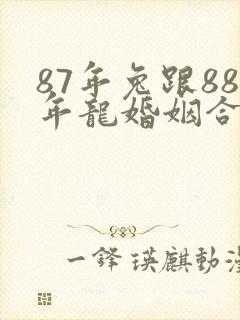 87年兔跟88年龙婚姻合吗封面