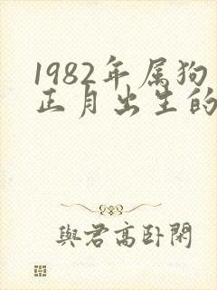 1982年属狗正月出生的命运怎么样
