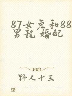 87女兔和88男龙 婚配