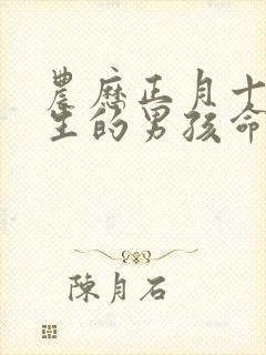 农历正月十三出生的男孩命运