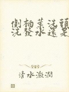 侧柏叶洗头先用洗发水还是先用侧柏叶