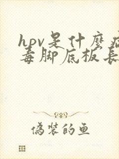 hpv是什么病毒脚底板长硬疙瘩