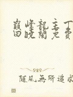 巅峰龙主丁长顺田晓兰免费阅读