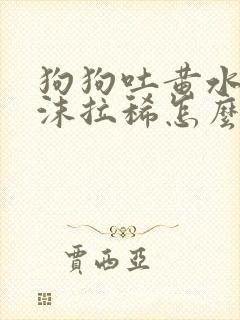 狗狗吐黄水带泡沫拉稀怎么办