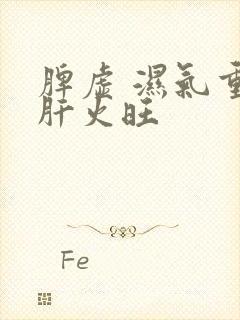 脾虚 湿气重 肝火旺