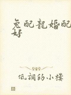 兔配龙婚配好不好封面