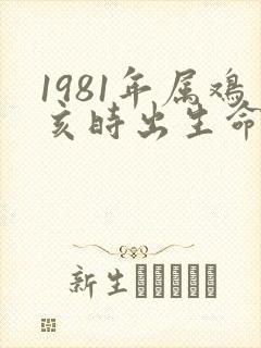 1981年属鸡亥时出生命运