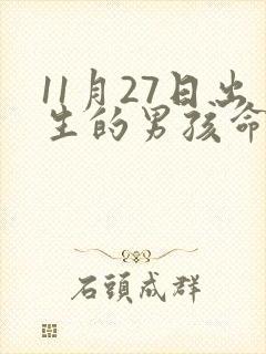 11月27日出生的男孩命运如何