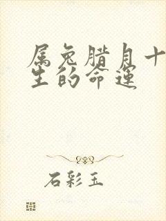 属兔腊月十七出生的命运