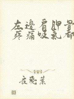 左边肩胛骨里面疼痛吸气都疼