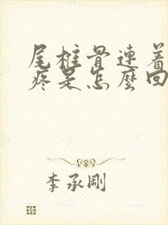 尾椎骨连着屁股疼是怎么回事