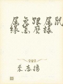 属兔跟属鼠的姻缘怎么样