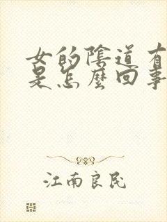 女的阴道有臭味是怎么回事