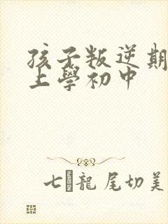 孩子叛逆期不想上学初中