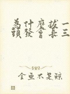 为什么拔一根白头发会长三根白头发