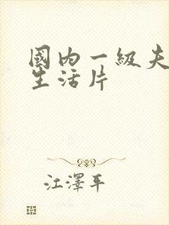 国内一级夫妻性生活片