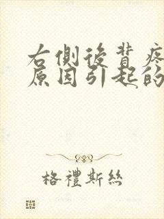 右侧后背疼什么原因引起的