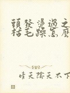 头发烫过之后干枯毛躁怎么办