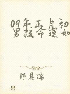 09年正月初五男孩命运如何