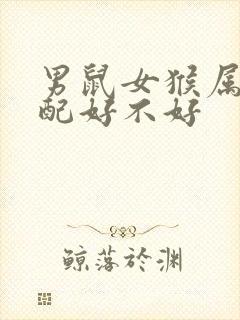 男鼠女猴属相婚配好不好