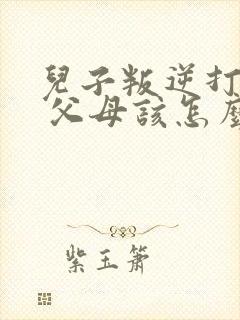 儿子叛逆打父母 父母该怎么办封面