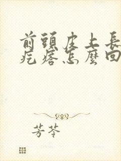 前头皮上长小红疙瘩怎么回事