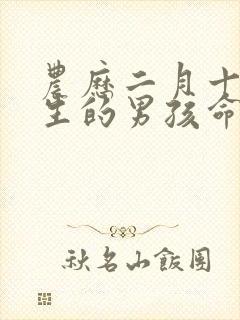 农历二月十五出生的男孩命运好吗