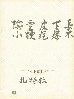 阴囊皮下长了个小硬疙瘩不痛不痒