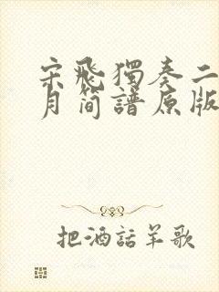 宋飞独奏二泉映月简谱原版