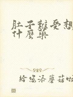 肚子难受想吐吃什么药