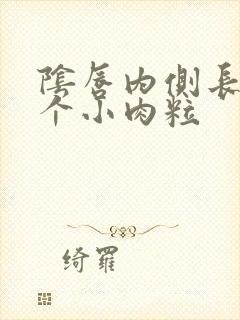 阴唇内侧长了两个小肉粒